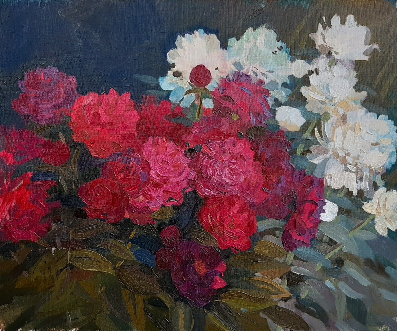 Пионы