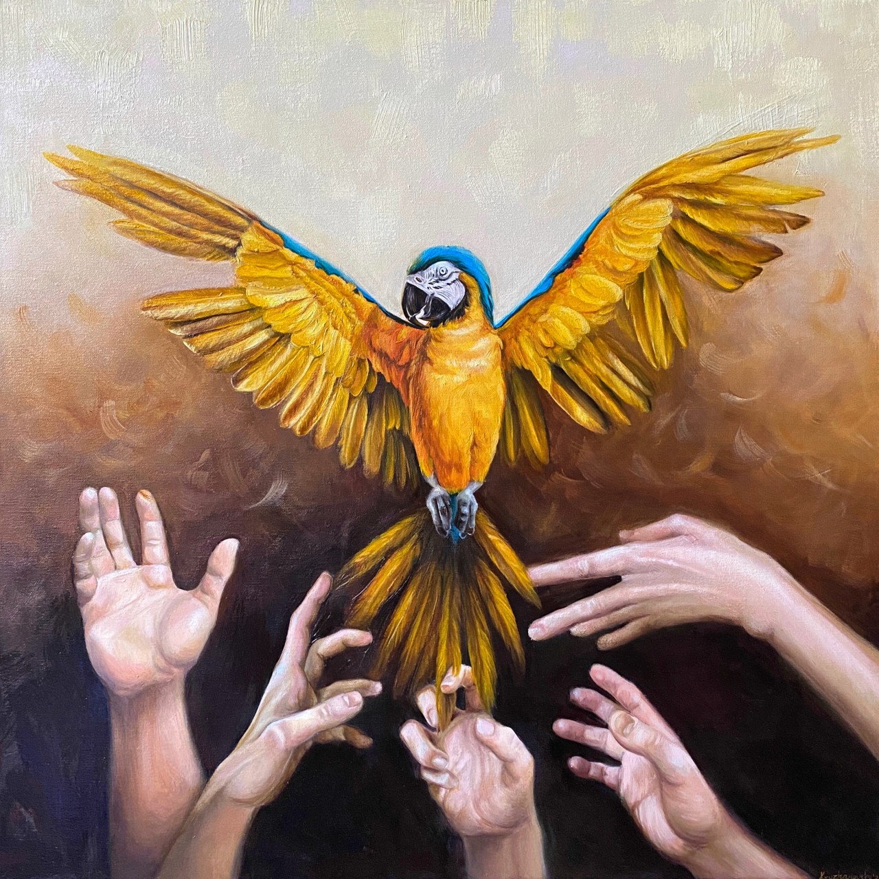 Freedom