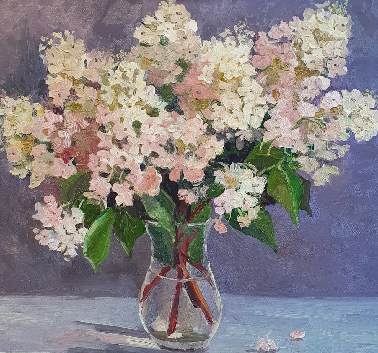 Гортензия 
