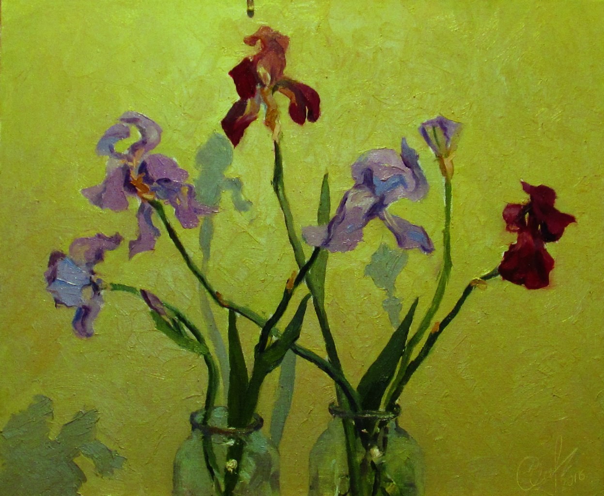 "Ирисы"