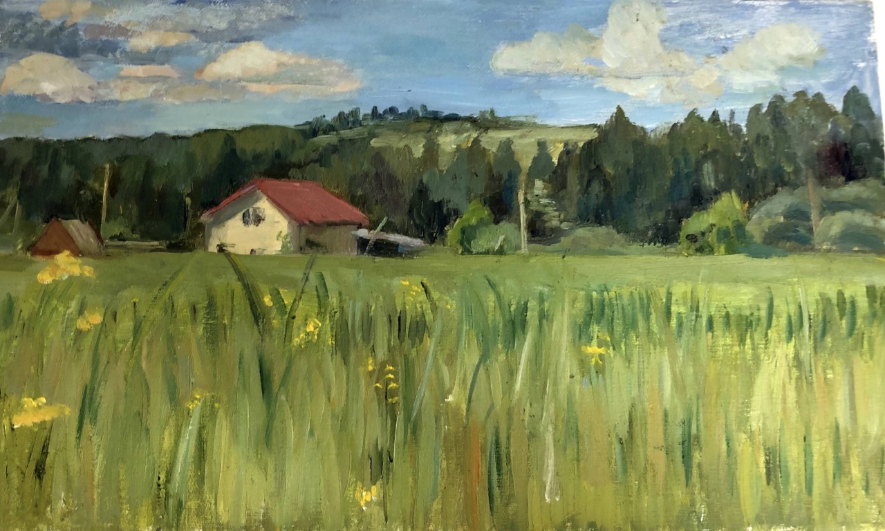 Великий Устюг,поле