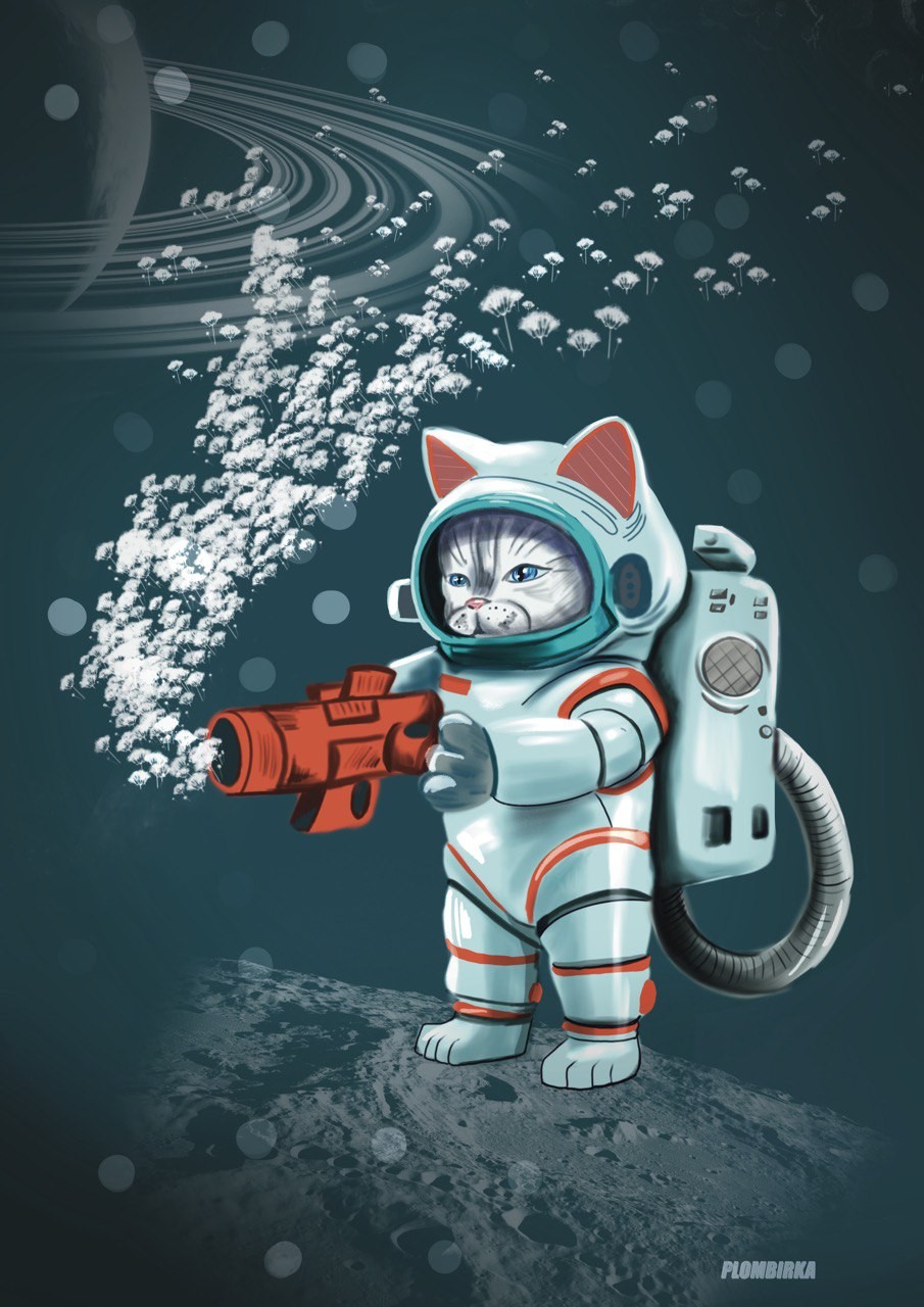 Космический КОТошественник
