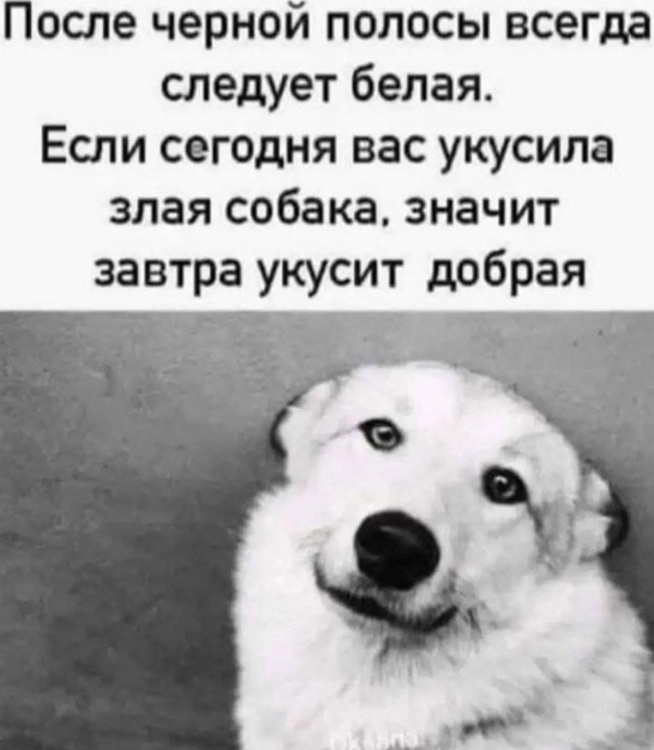 тест тест тест