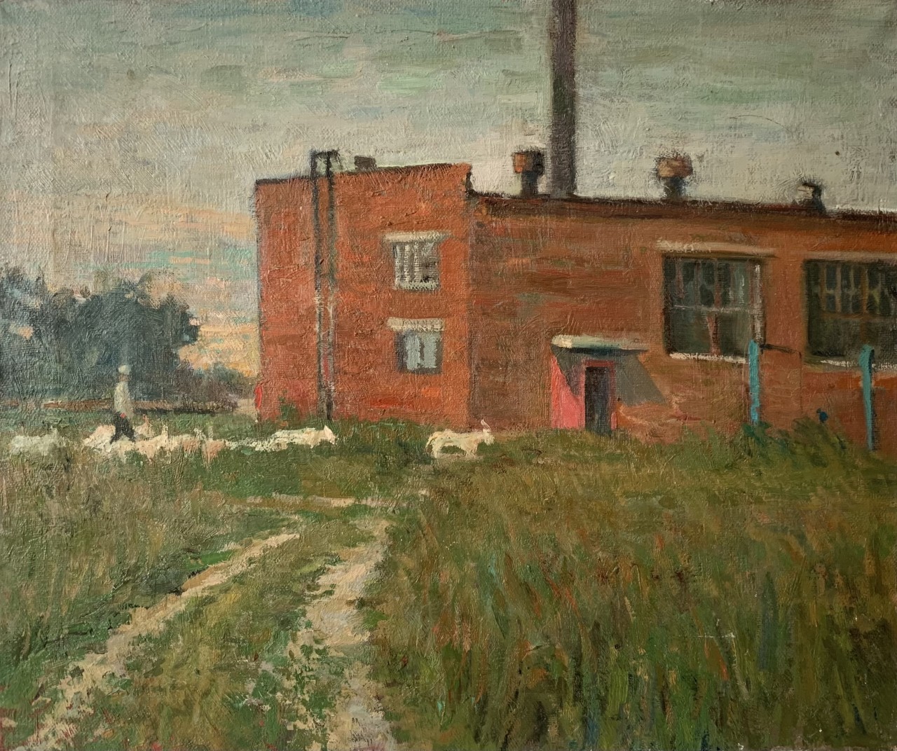 Козы