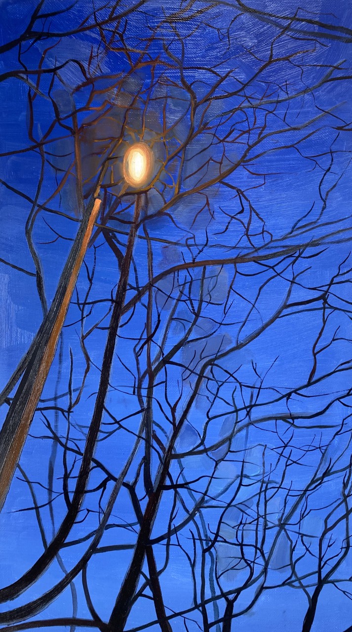 Ночь. Улица. Фонарь 