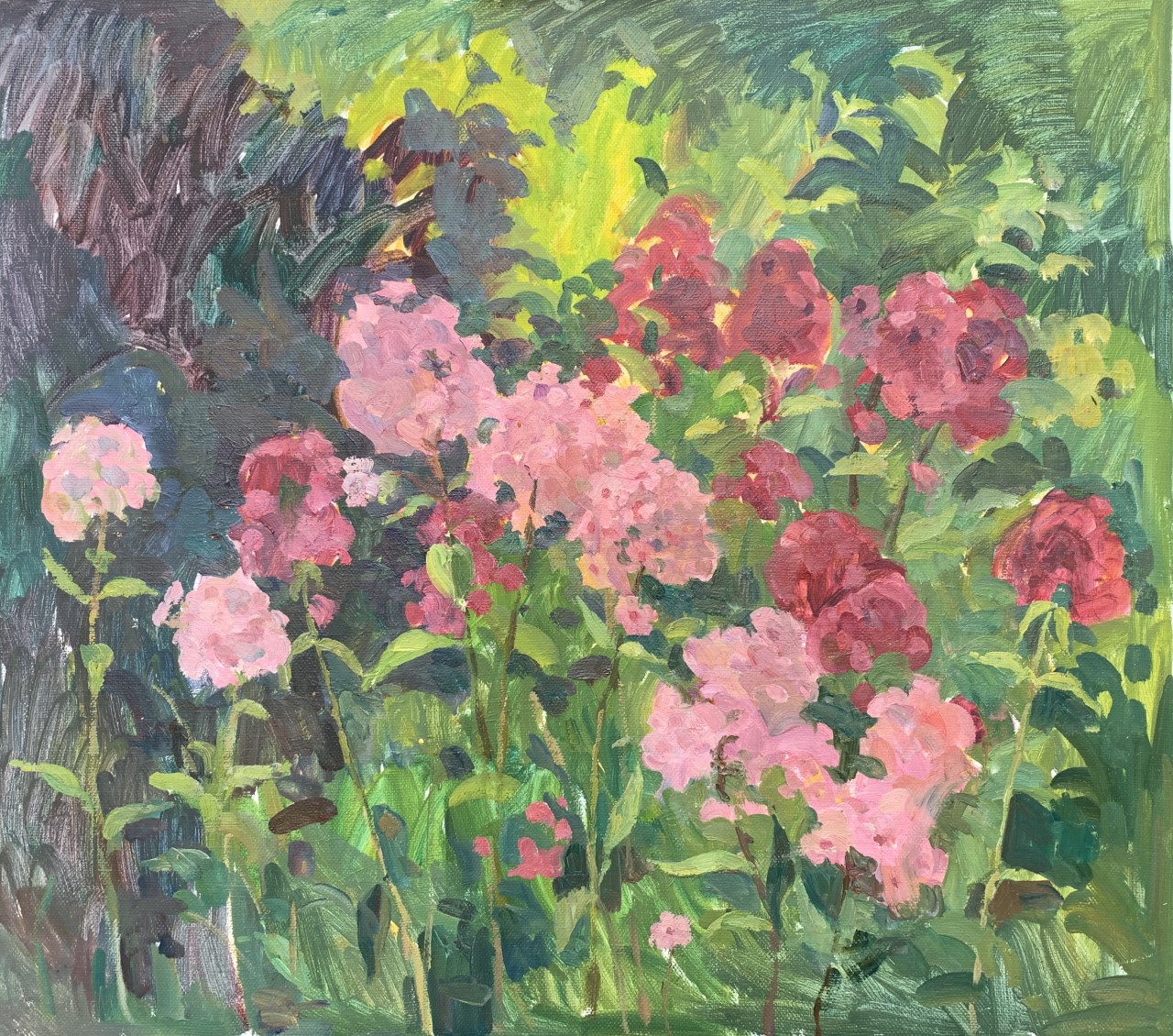 Флоксы