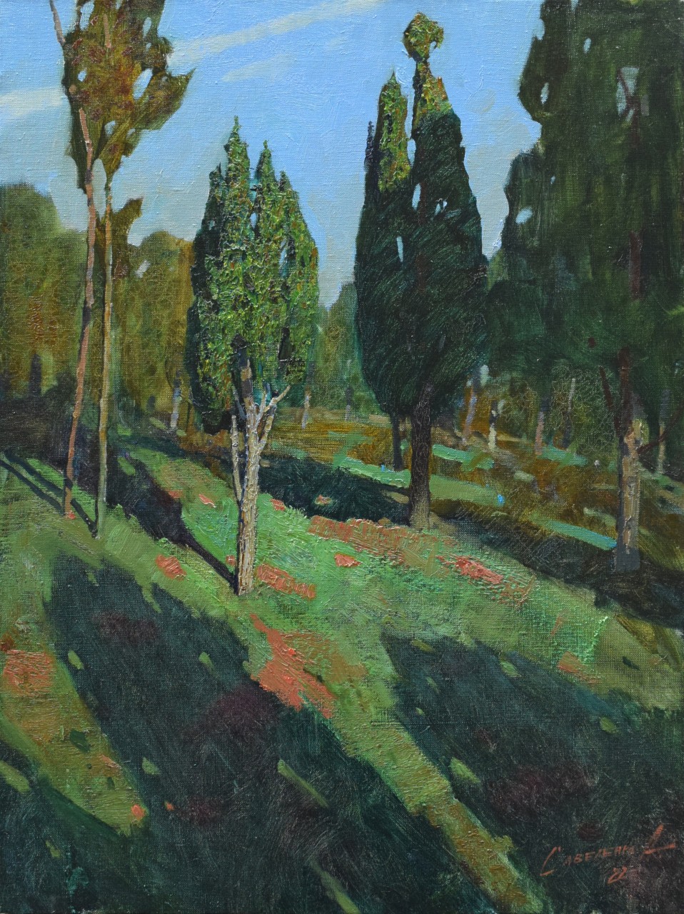Кипарисы
