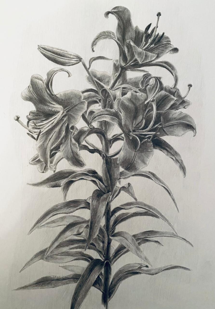 королевская лилия
