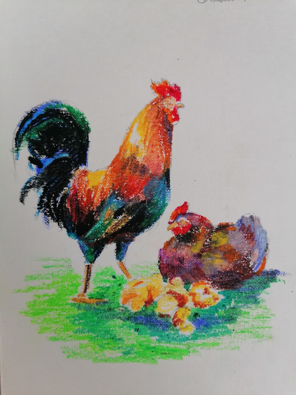 Петух и курица
