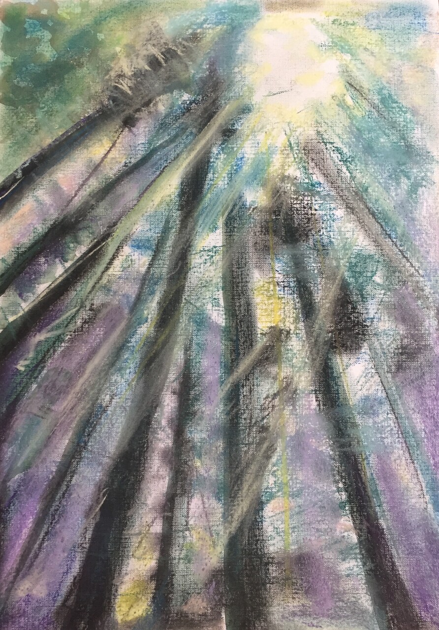"В лесу"