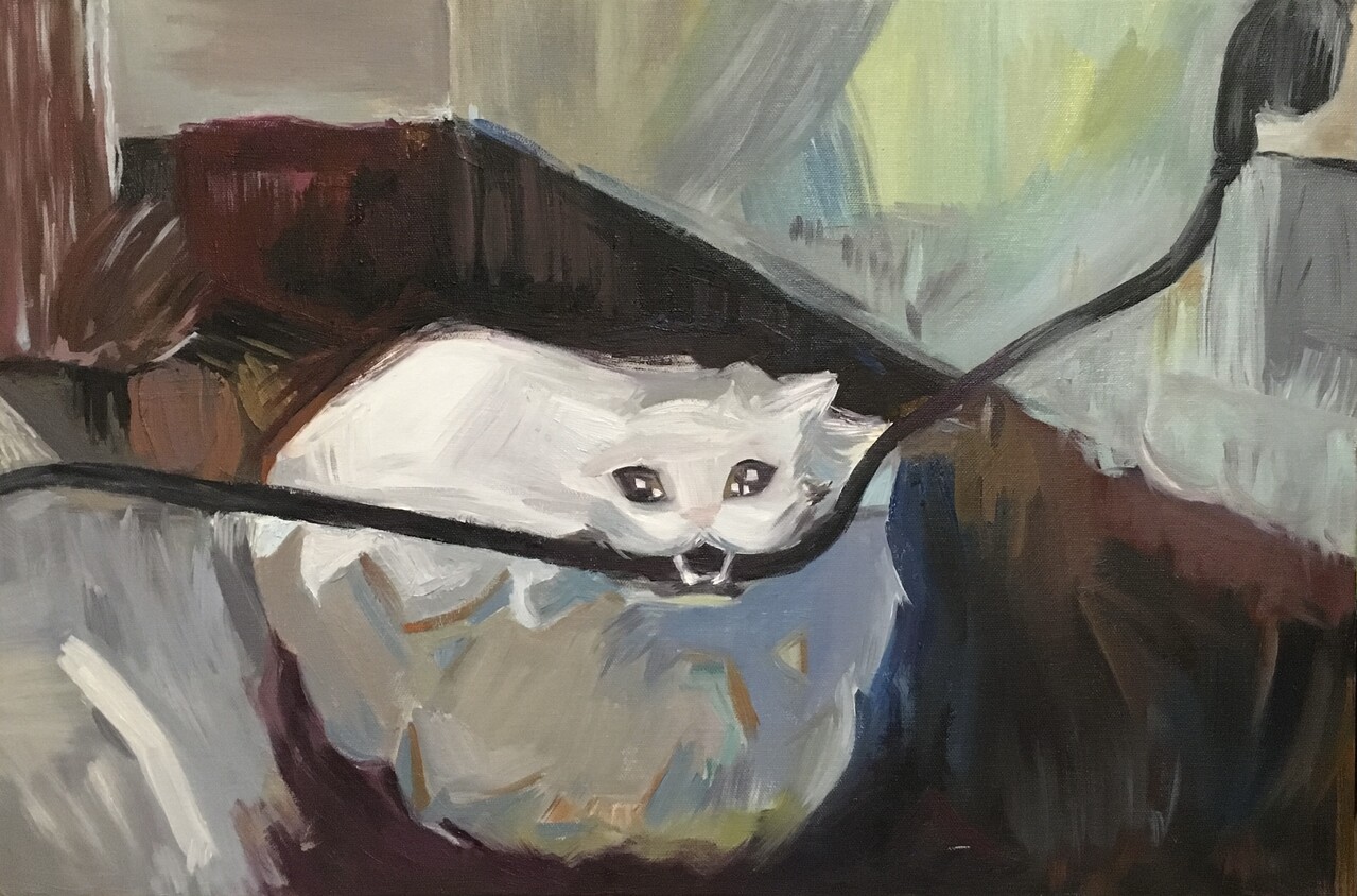 Неугомонный кот