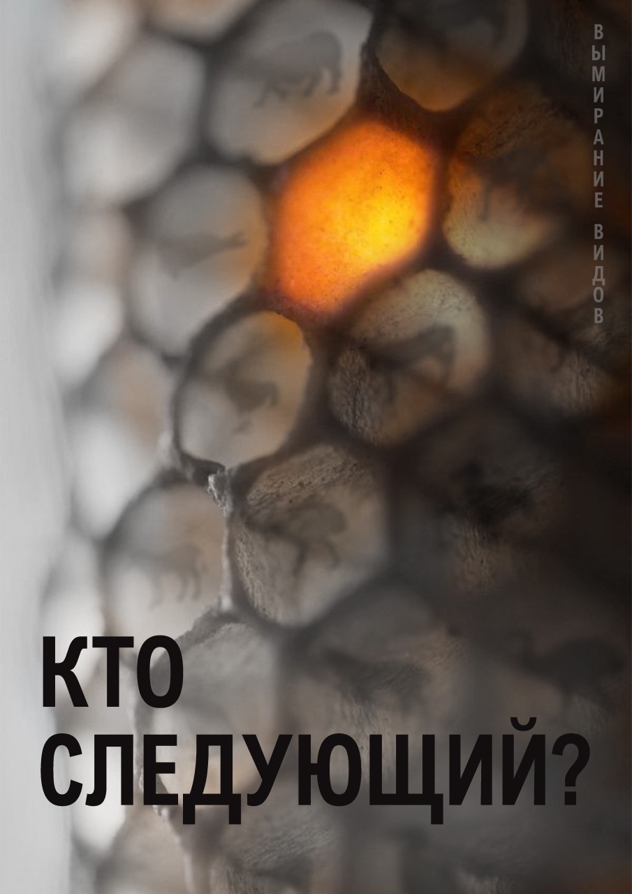Кто следующий? 