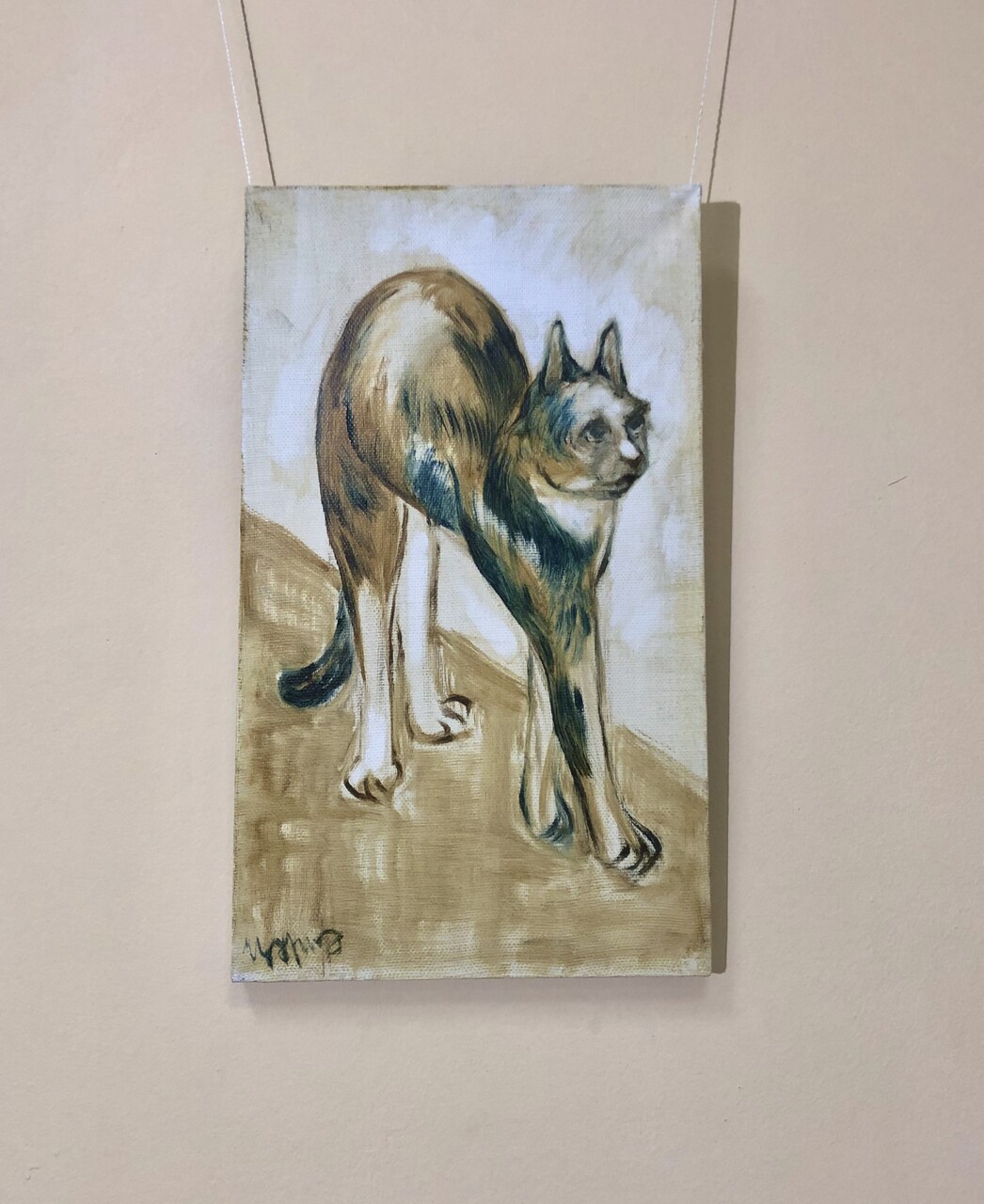 Кот #1