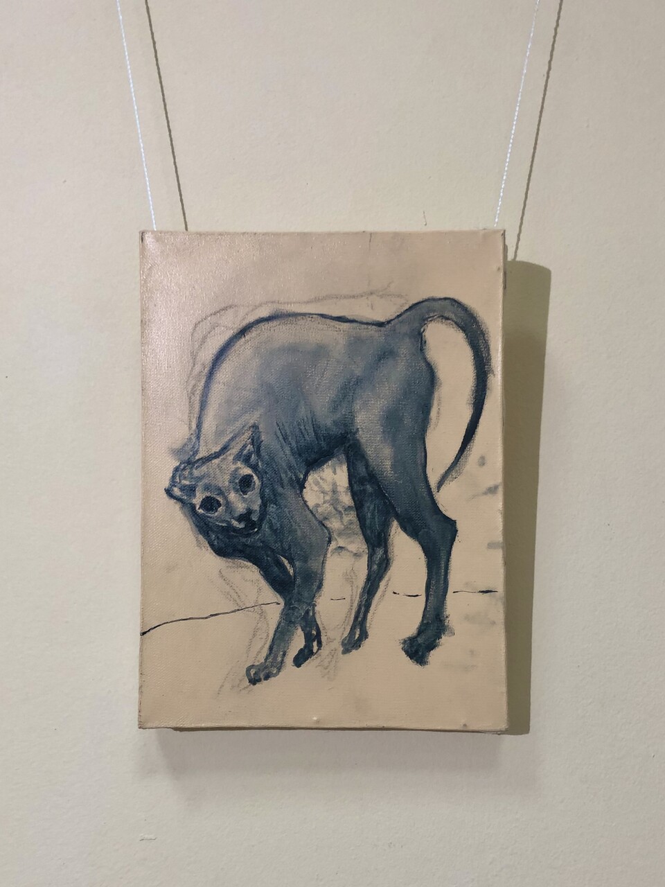 Кот #2