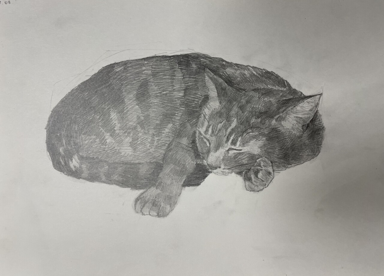 Котик