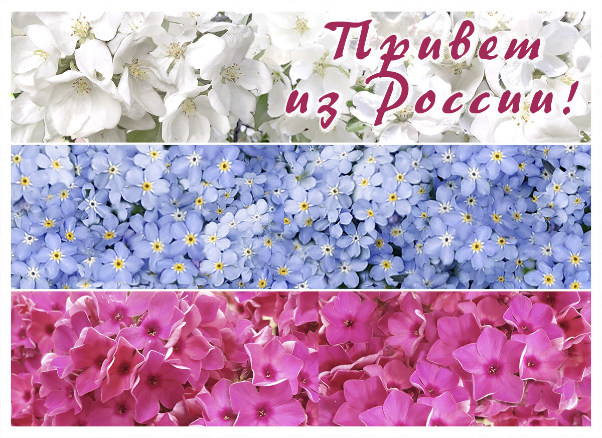 Привет из России
