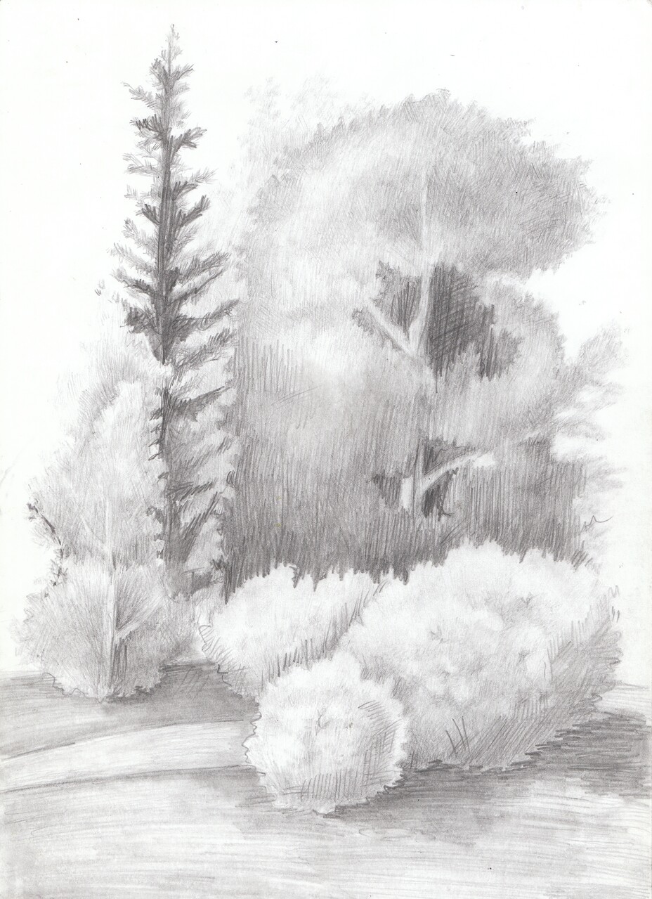 лес