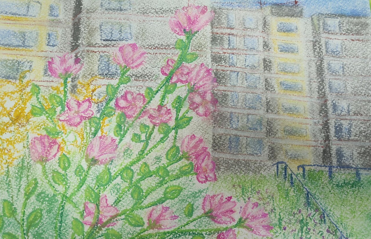городские зарисовки