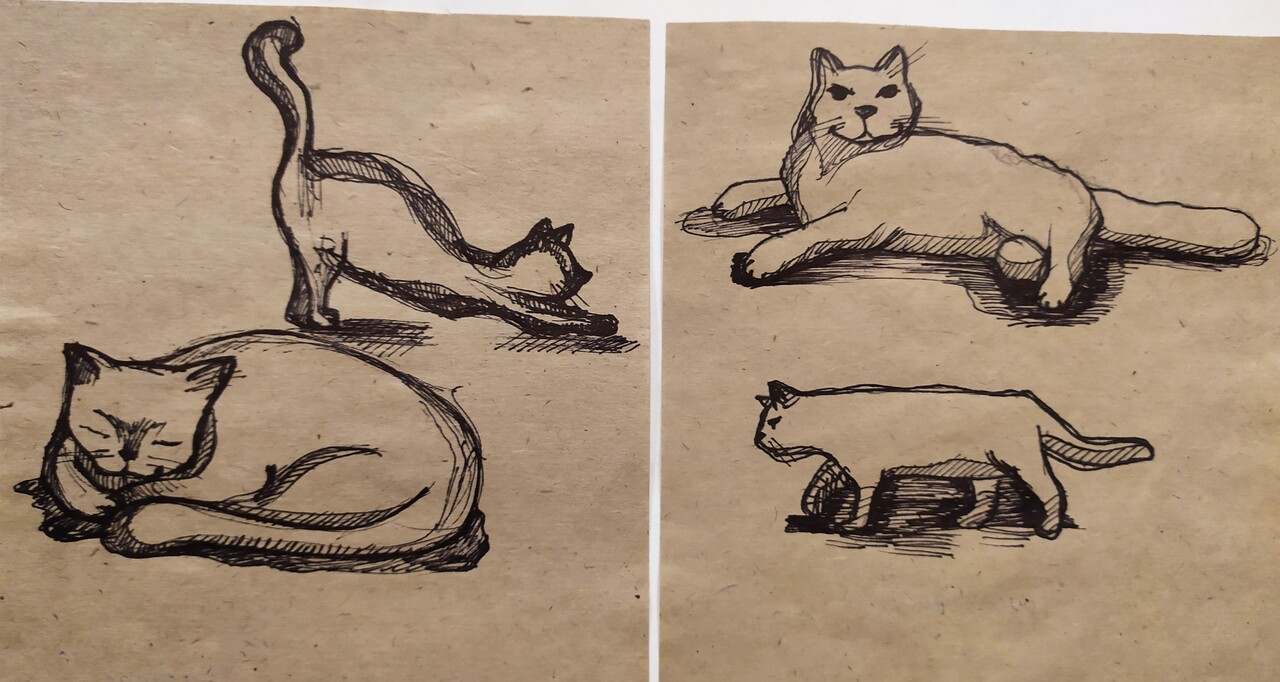 Кошка Боня
