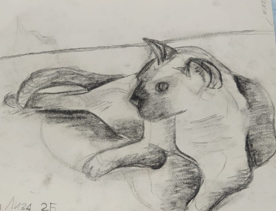 Кот