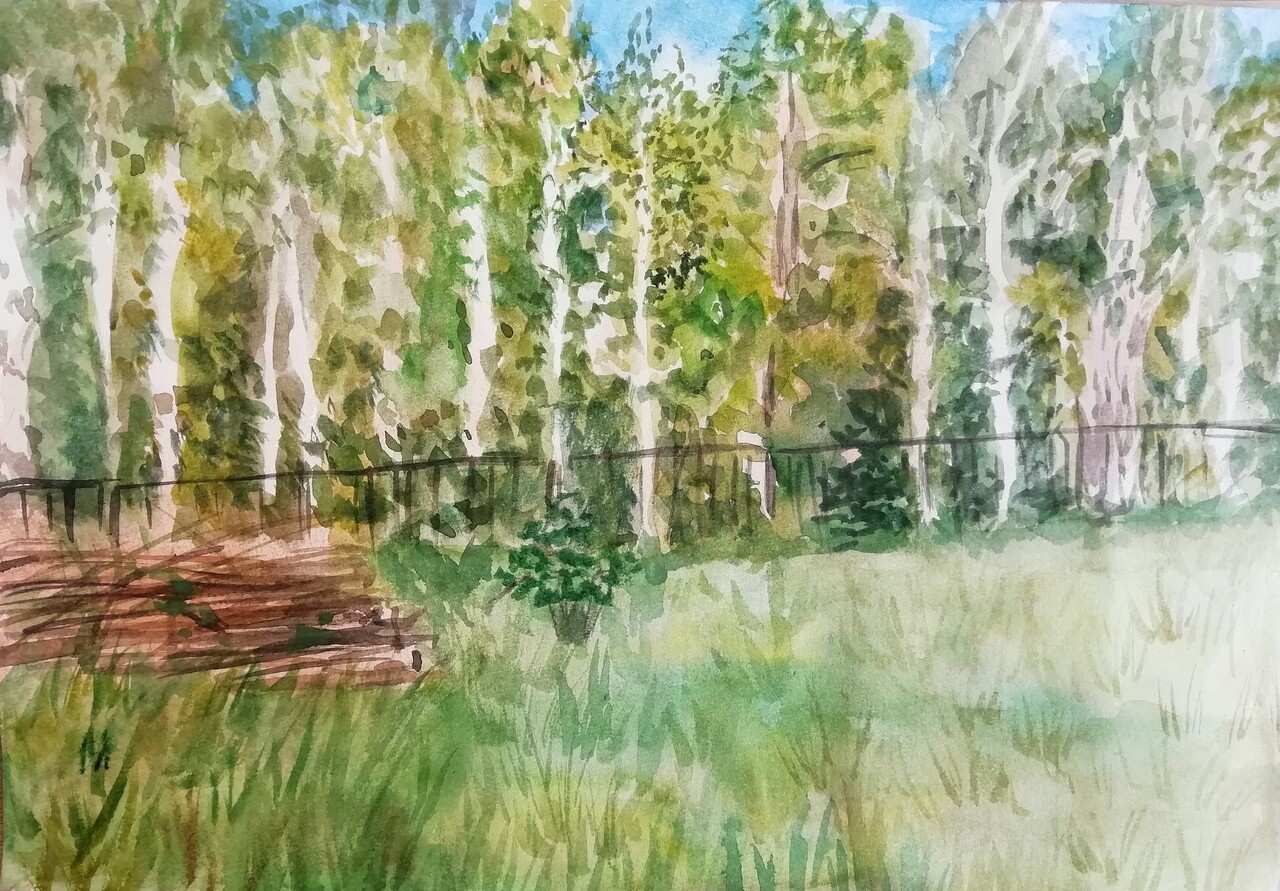 Березовая рощица