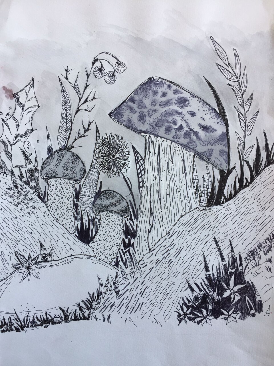 Грибы