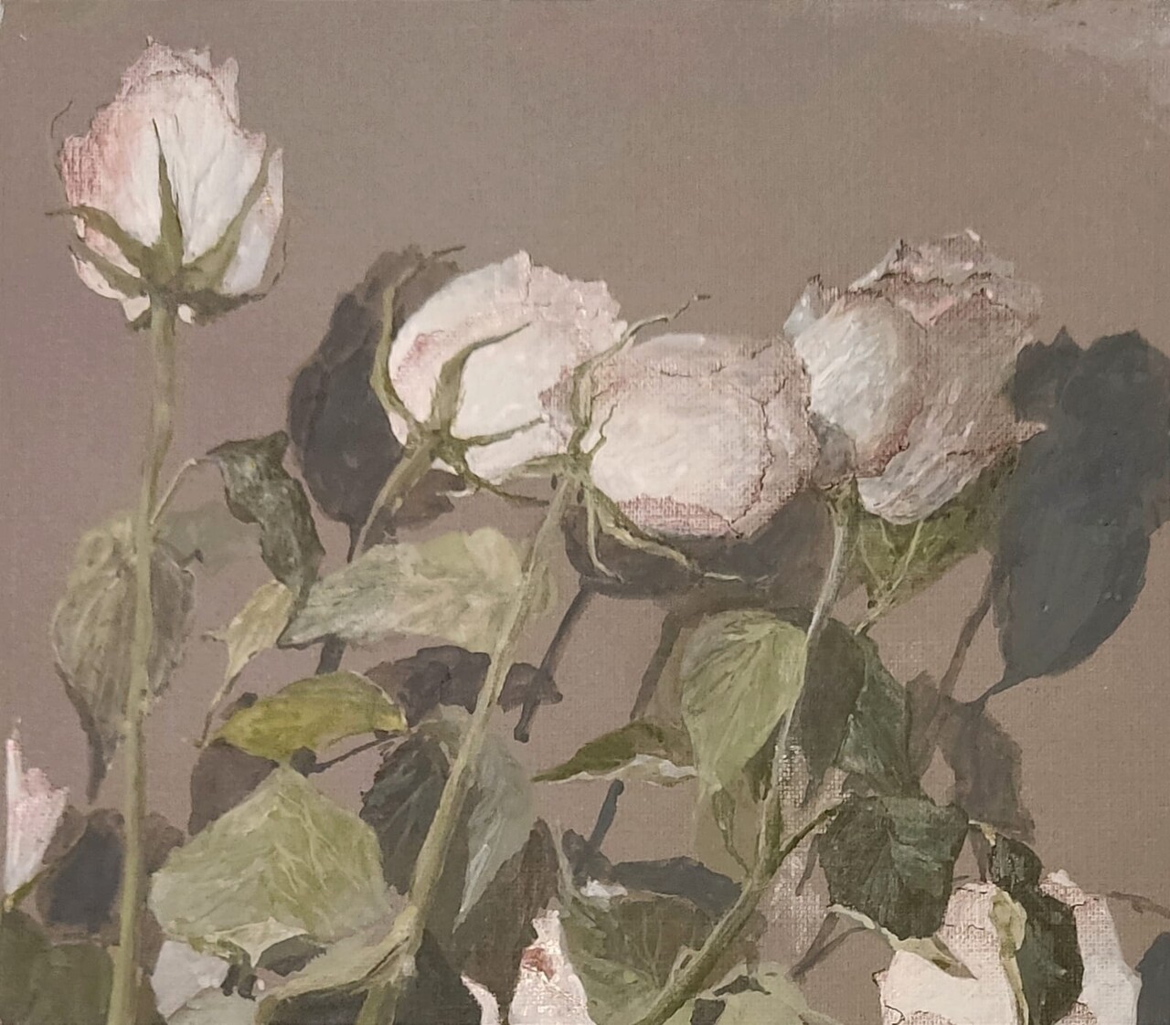 Розы