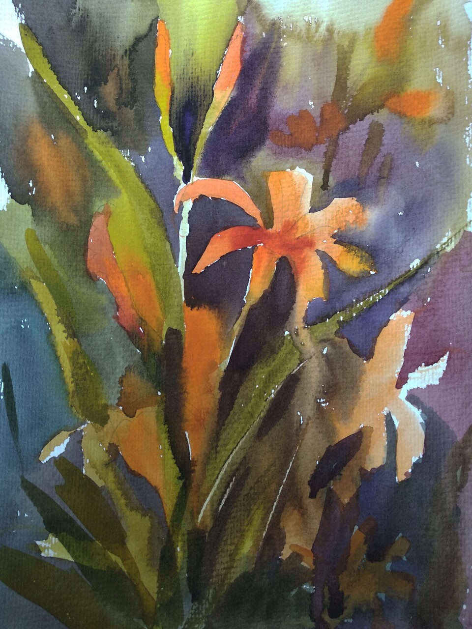Lilium