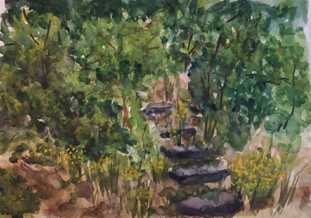 Камни в лесу.