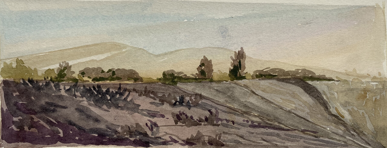 Тамань
