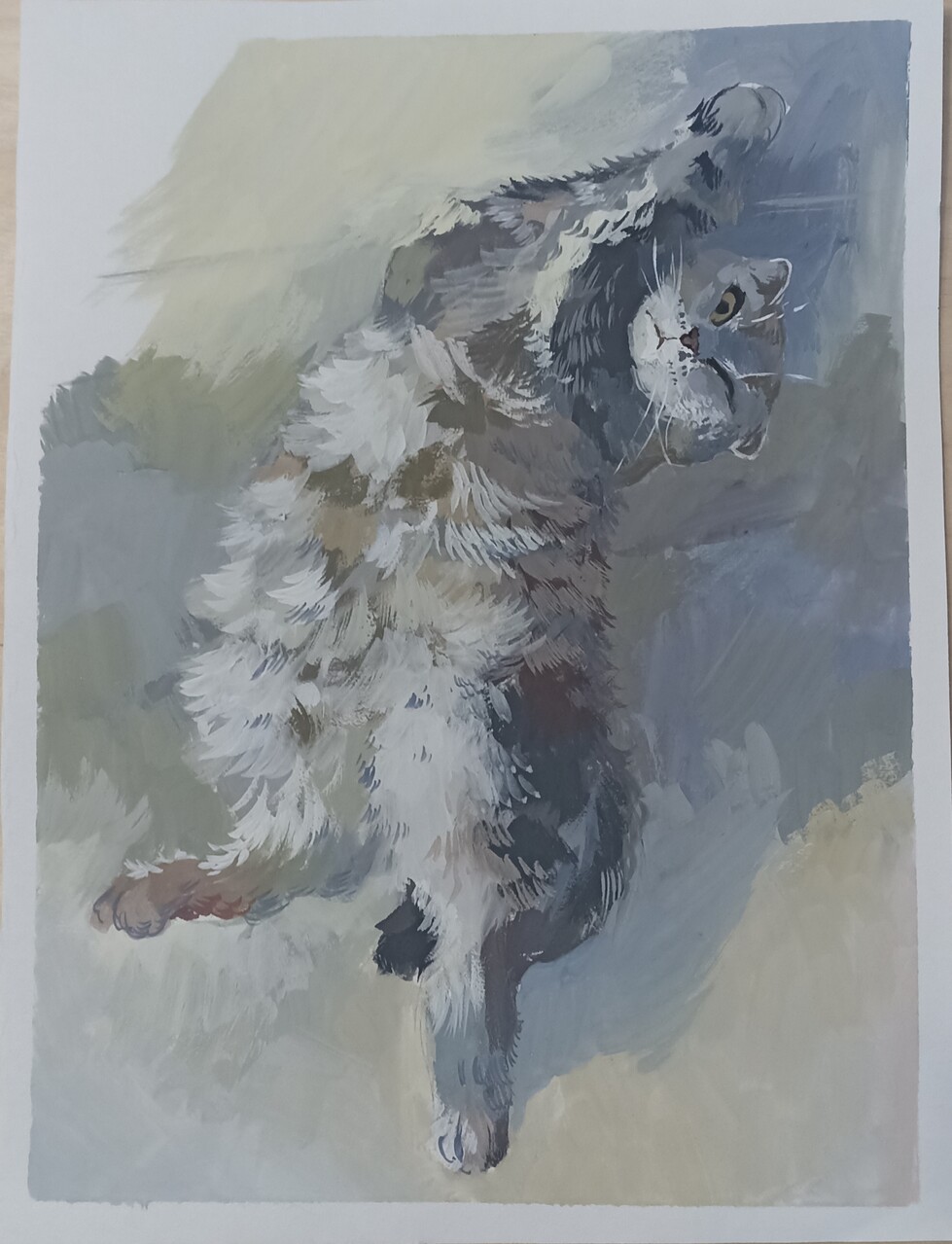 Кошка