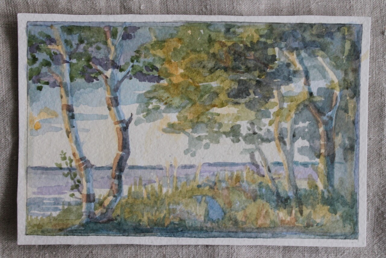 Карельские берёзы