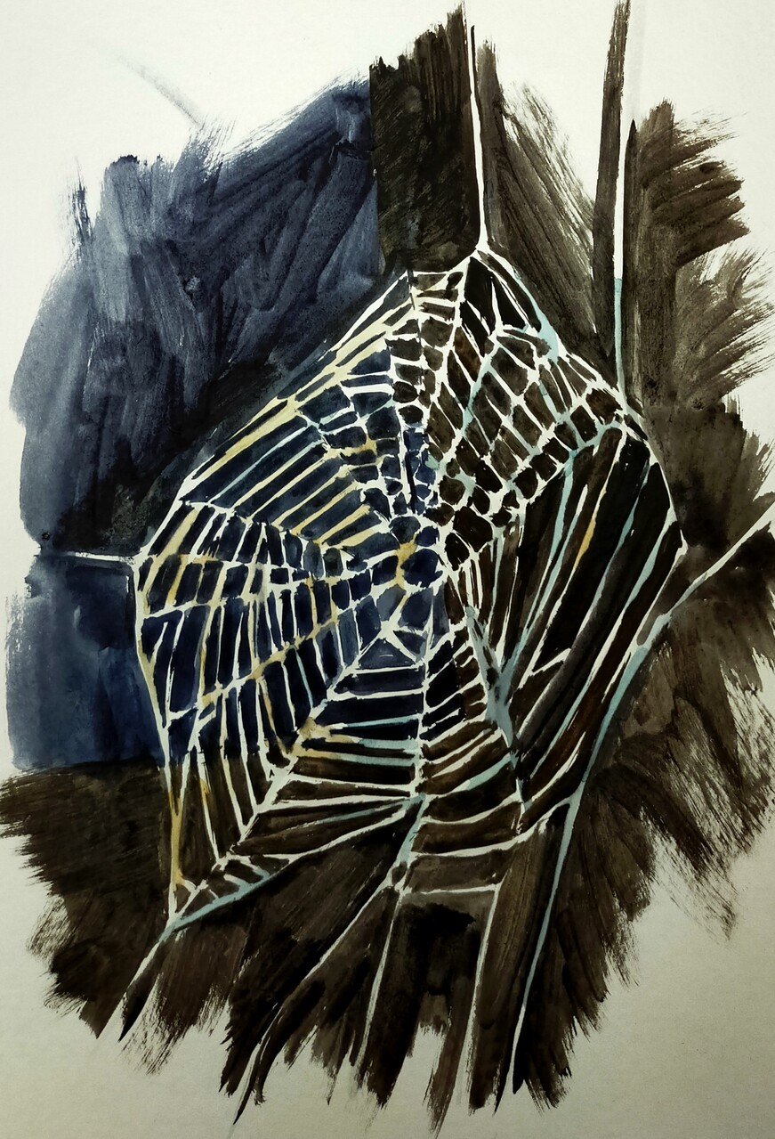 Паутинка