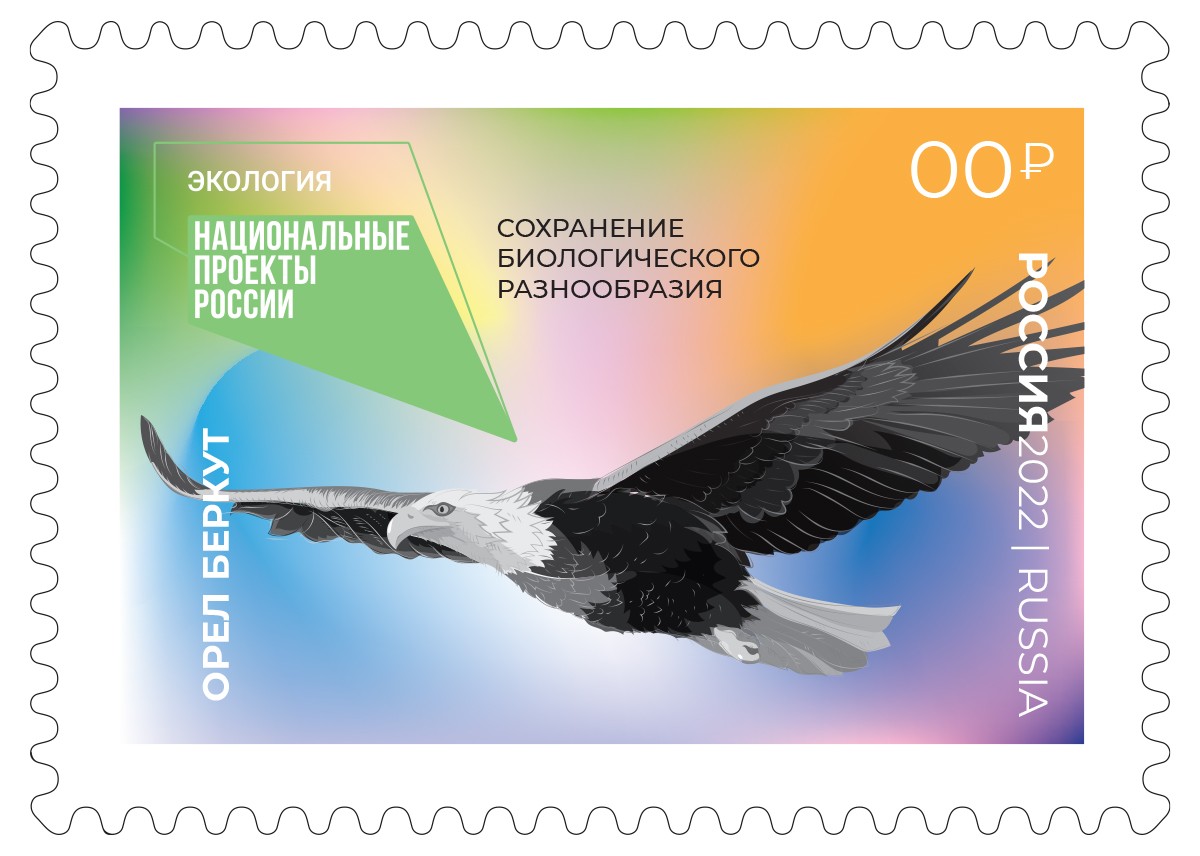 Сохранение биологического разнообразия. Орел Беркут