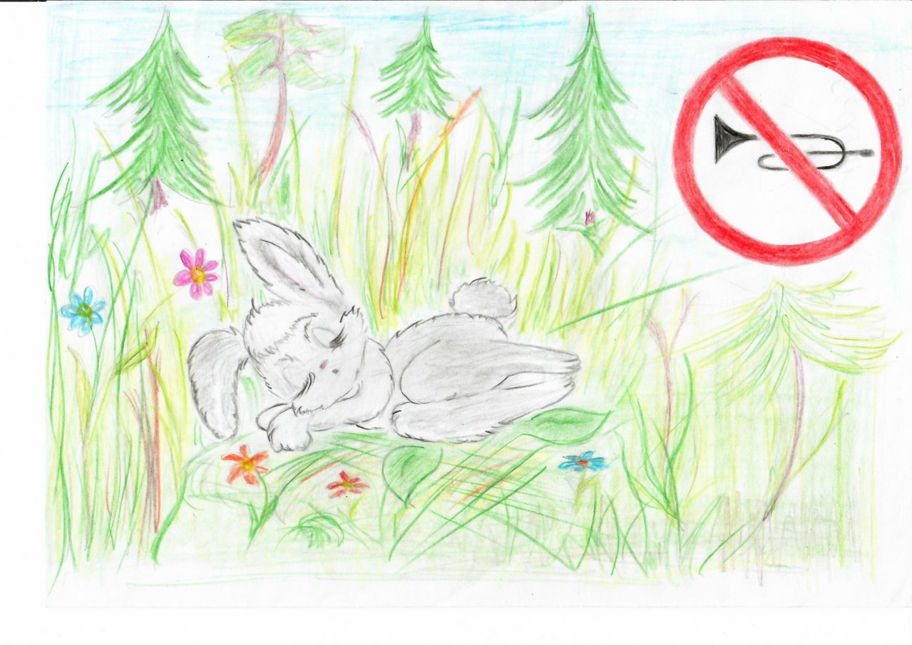 Хорошо в лесу какой знак. Знак не шуми в лесу. Не шумите в лесу картинки для детей. Не шумите в лесу раскраска. Не шуми в лесу знак для детей.