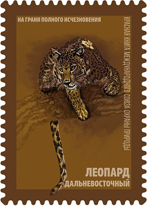 Дикие кошки, занесенные в Красную книгу.