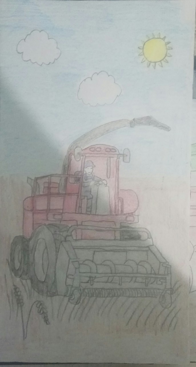 Сбор урожая