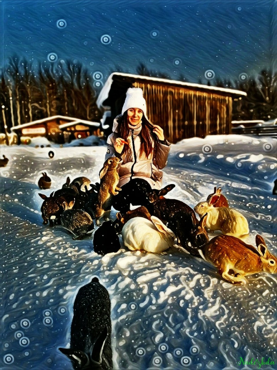 В гостях у зайцев