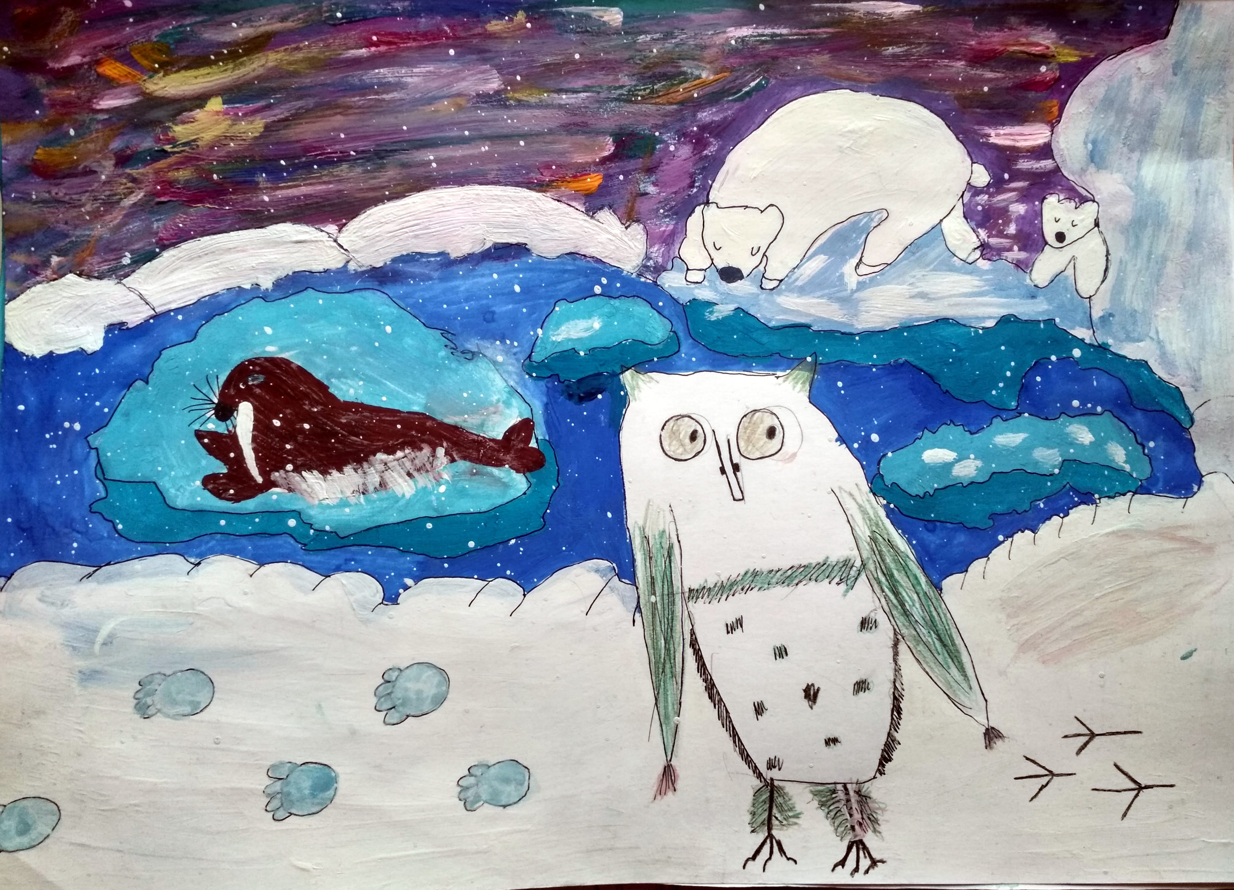 Рисунки детей животные арктики