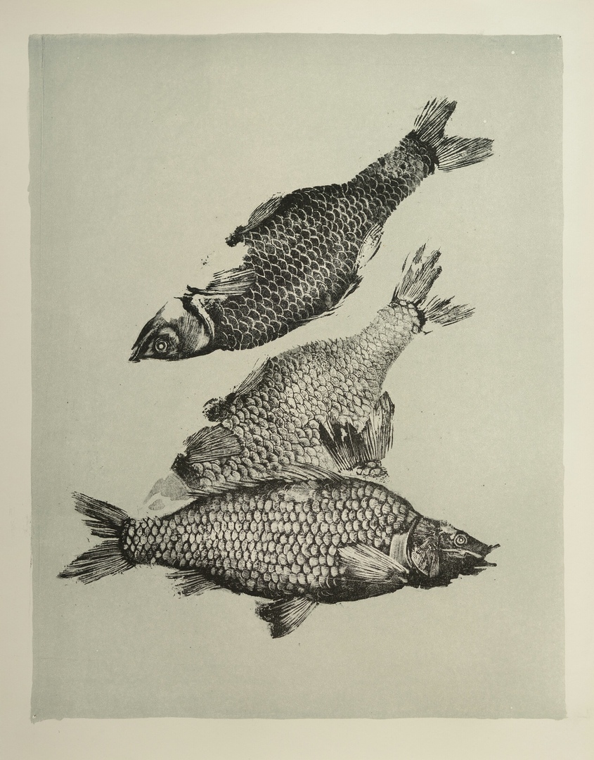Gyotaku
