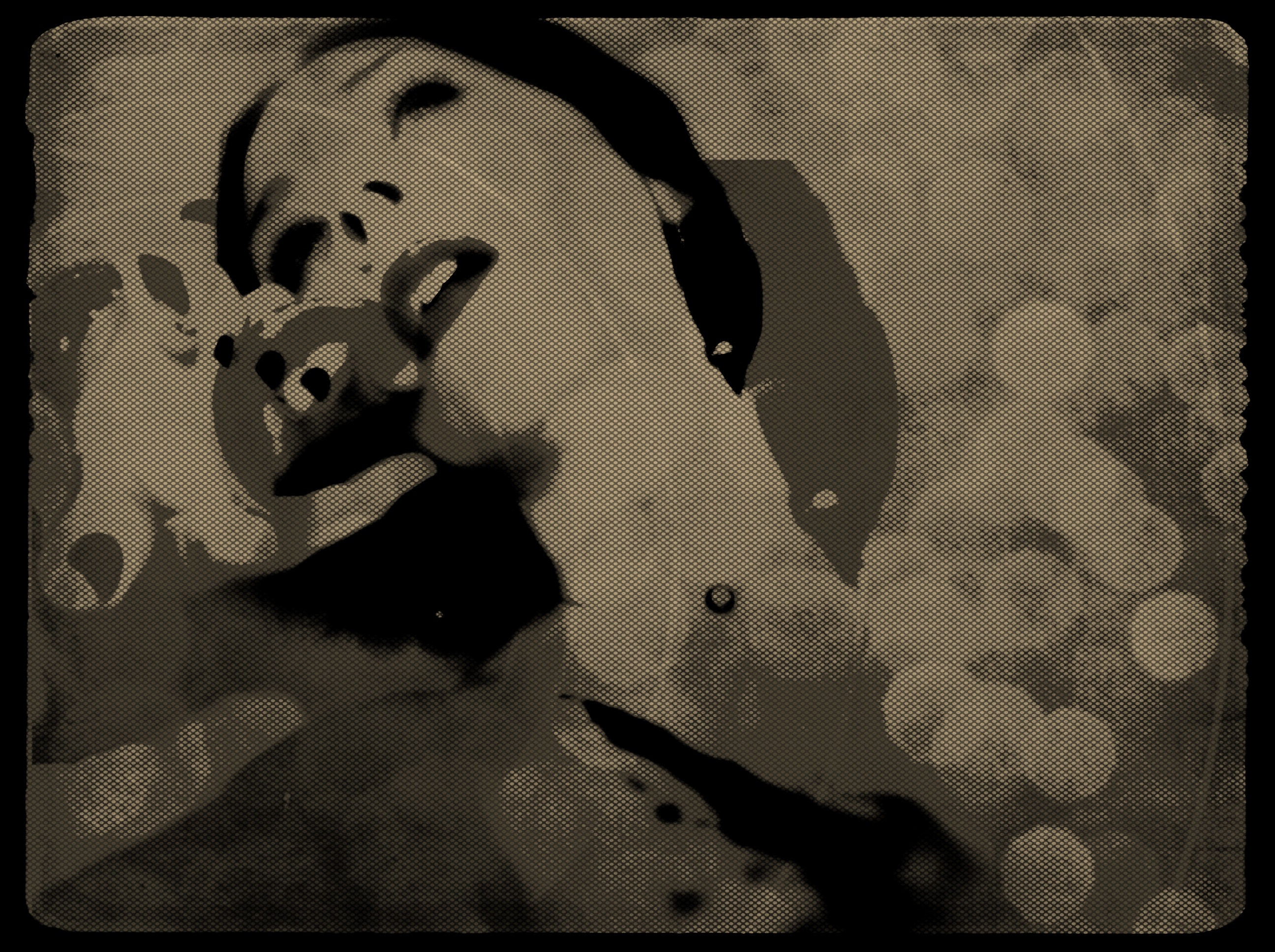 Frivolous passion