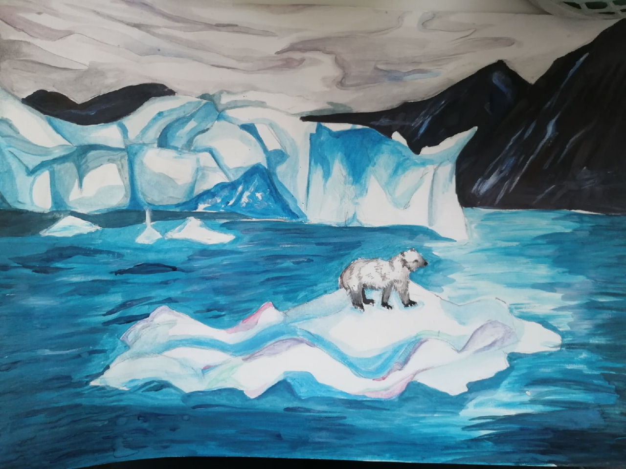 Арктические пустыни рисунок