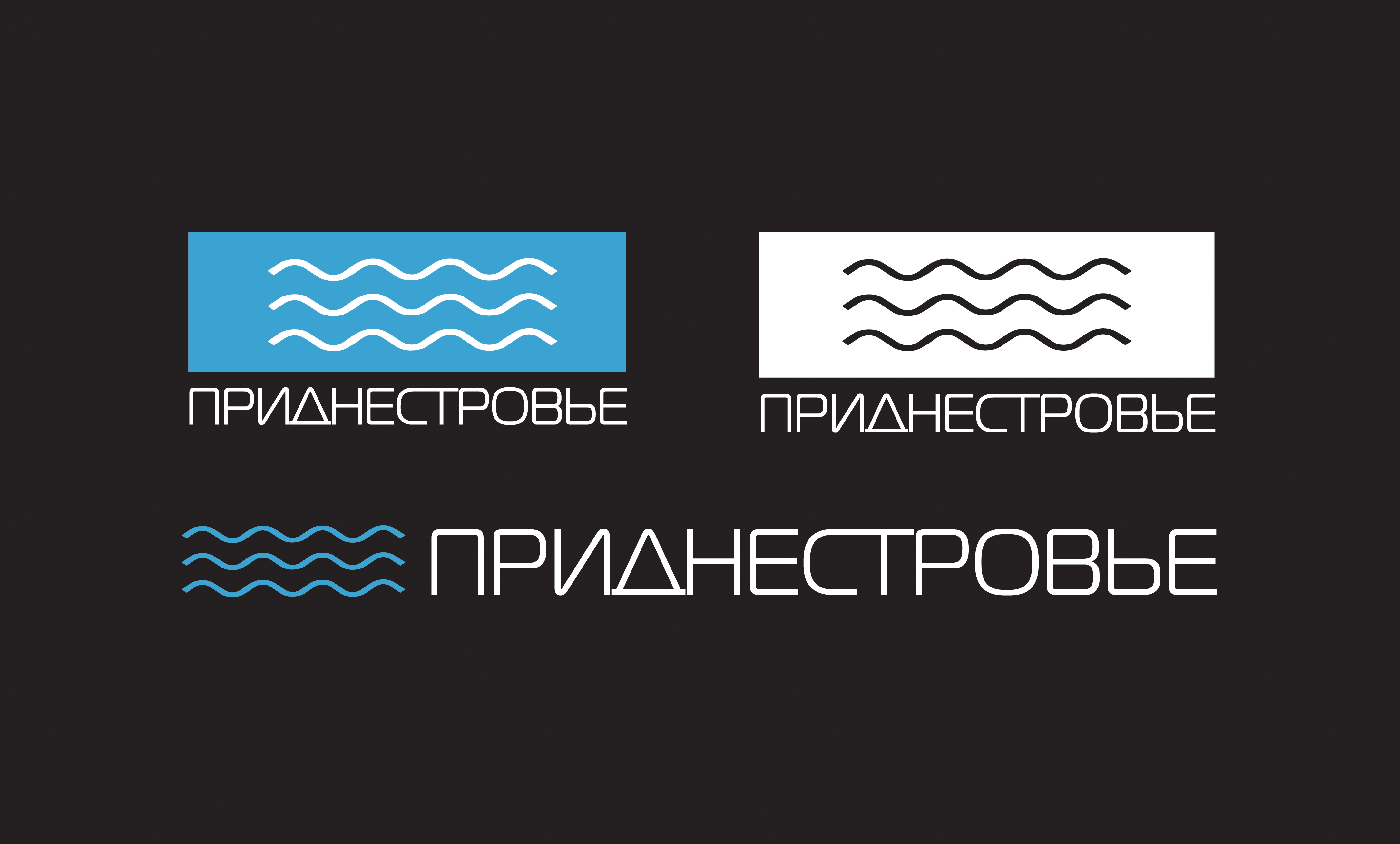 Графическо-шрифтовой логотип Приднестровья