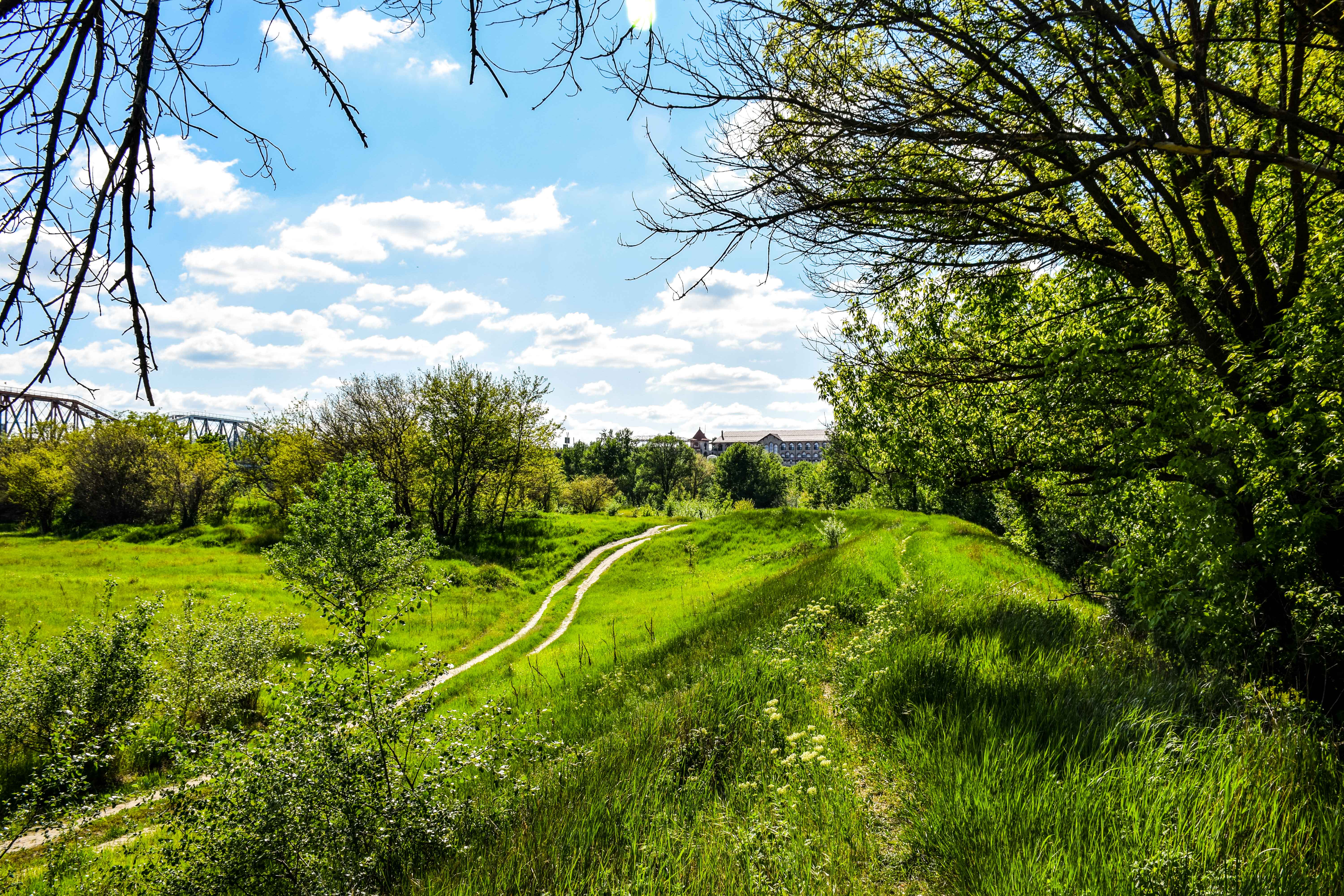 На левом берегу Днестра (Парканы)