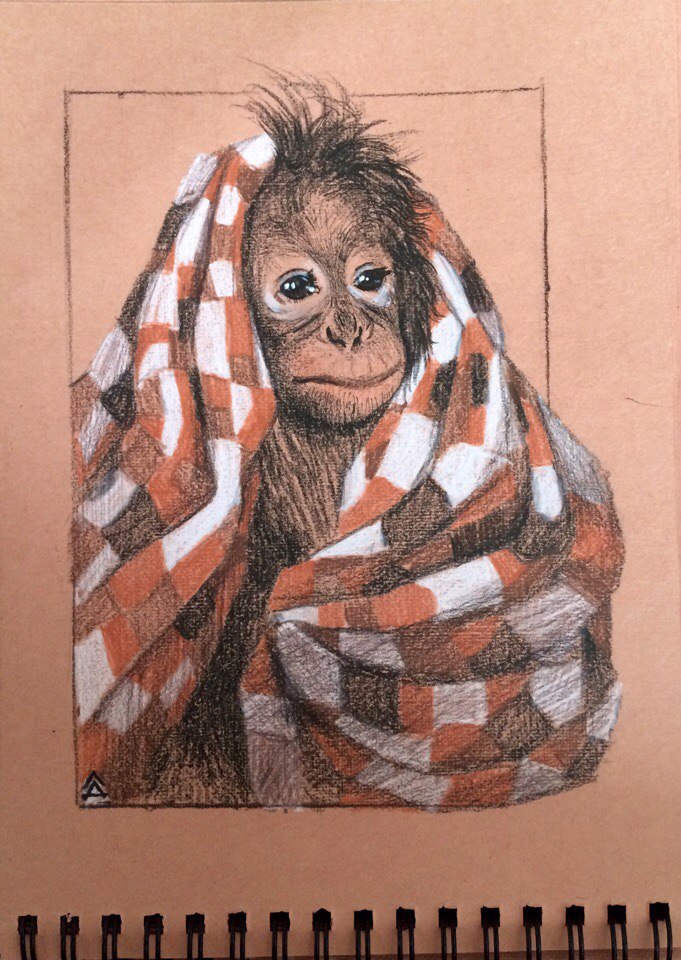 обезьянка Дана