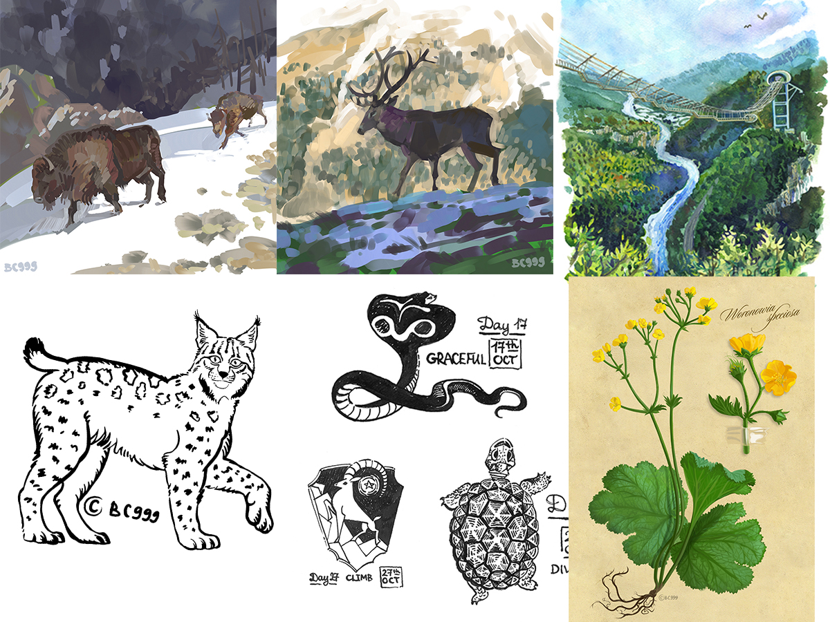 /yduploads/profile/32070/album/list1_animals_bc999-5cc9999abe604.jpg