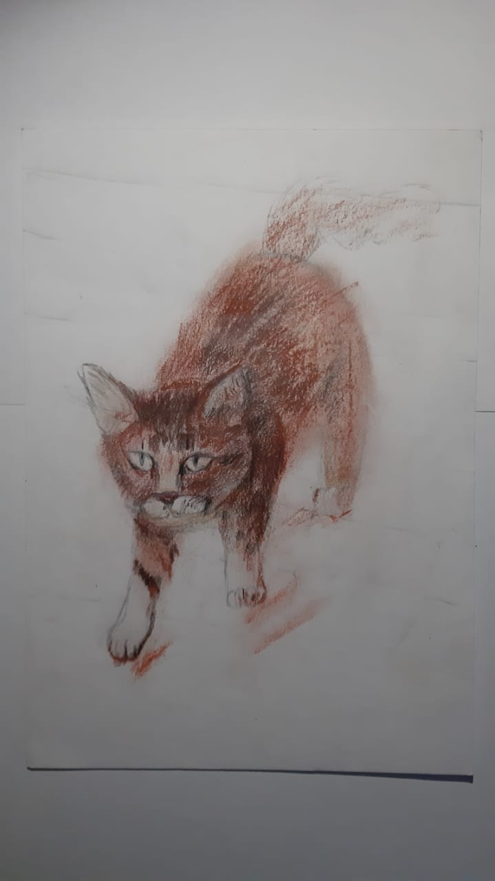 Зарисовка кошки
