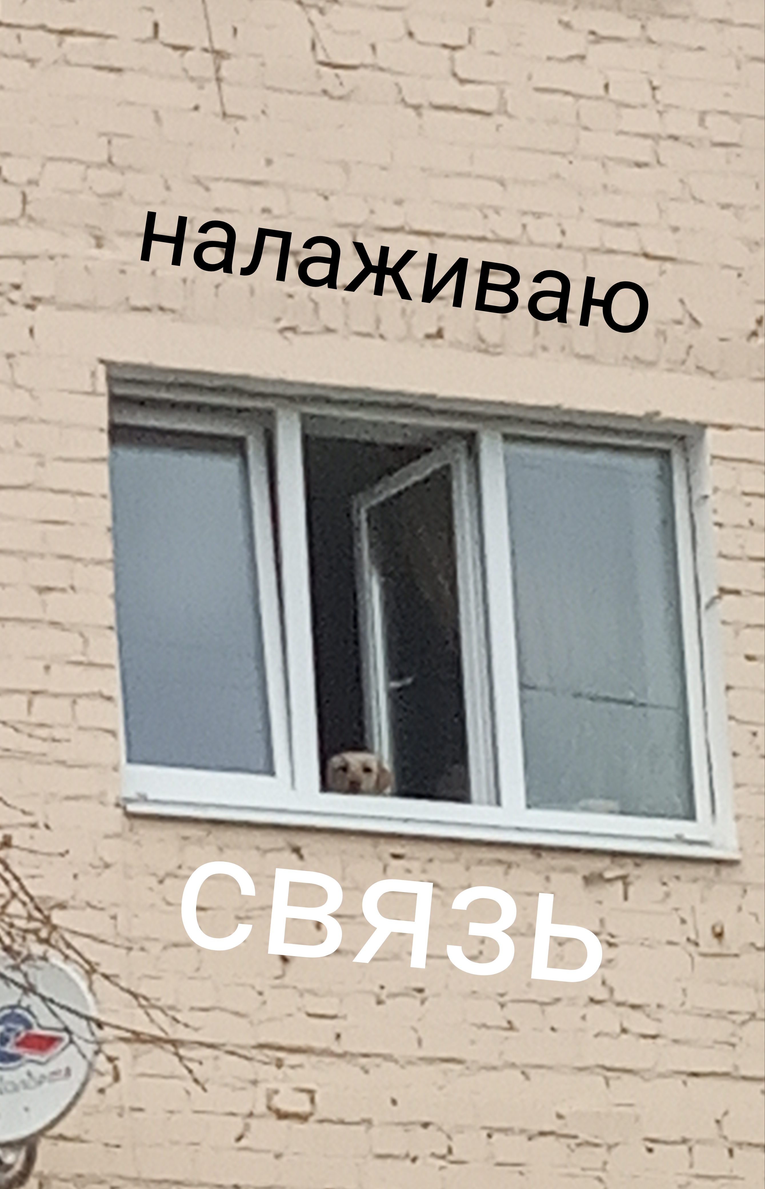 Рисунок 1105563600