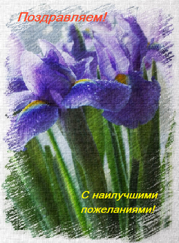 /yduploads/profile/32763/album/c2ac30d65920a3f2a7e79978605657d6.png