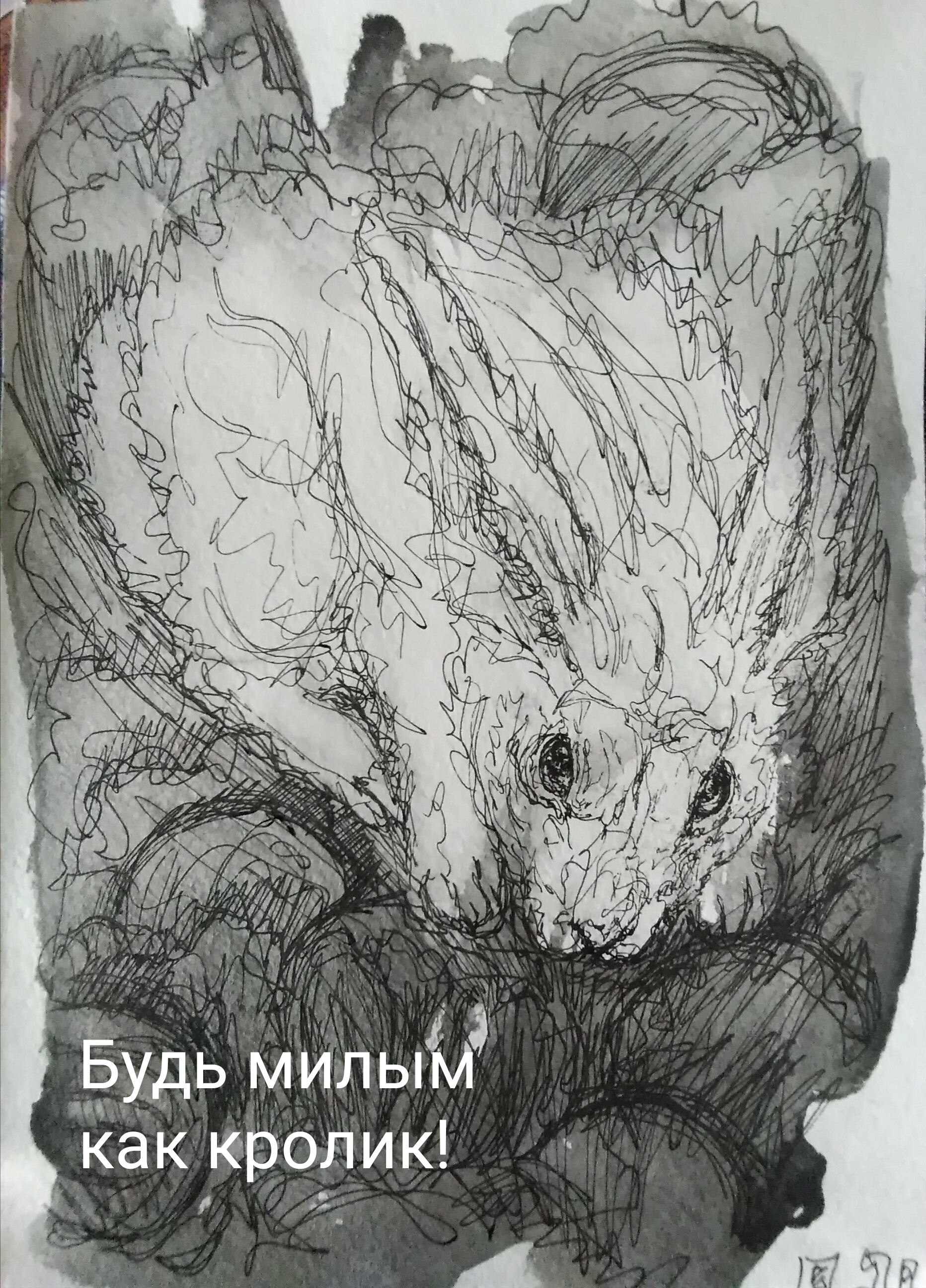 /yduploads/profile/37818/album/54817bc0b7f1293138e57e58ba6a9a13.jpg